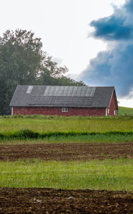 Kostenloses Stock Foto zu außerorts, bauernhof, baum