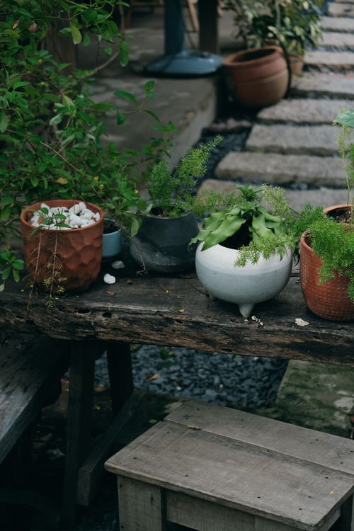 Free A rustic outdoor setting with various potted plants on a wooden bench. Ideal for nature and gardening themes. Stock Photo