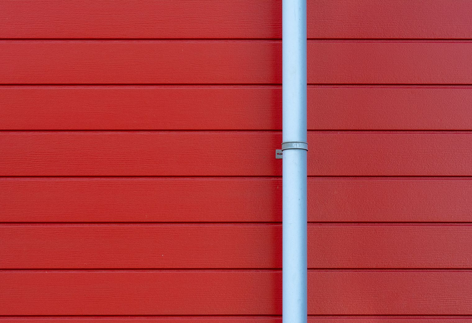 Wallpapering in West Hackney — woodwork brushed to a crisp, smooth line