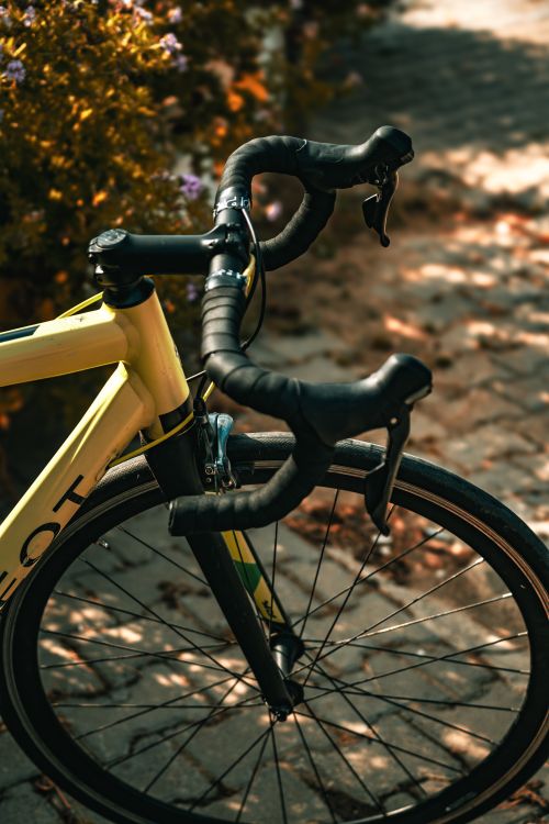 Free Close-up of a bicycle handlebar and tire on an autumn path in Yalova, Türkiye. Stock Photo