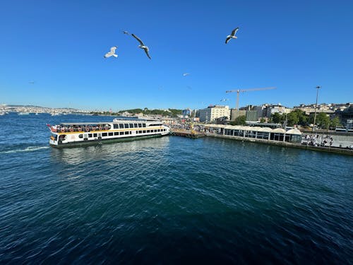 Základová fotografie zdarma na téma istanbul türkiye, landsacpe