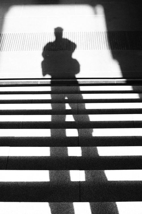 Free Artistic black and white shadow of a person standing on a staircase, creating abstract lines. Stock Photo