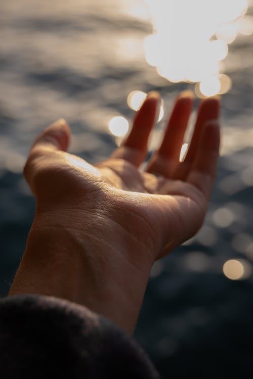 A person's hand reaching out to the sun
