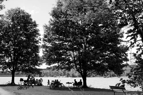Some folks barbecuing by Lake Gretna,