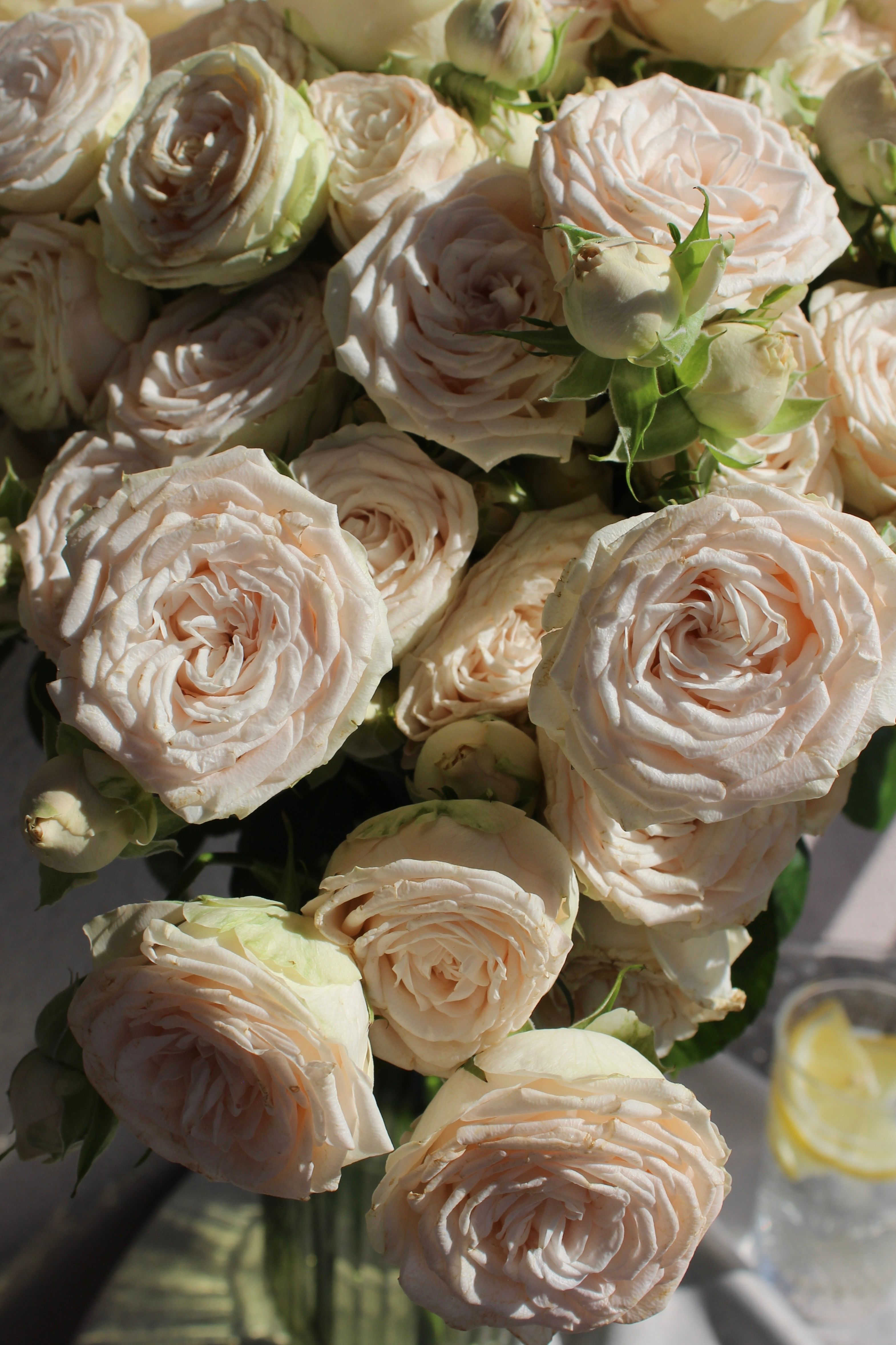 Rose bouquet Vienna