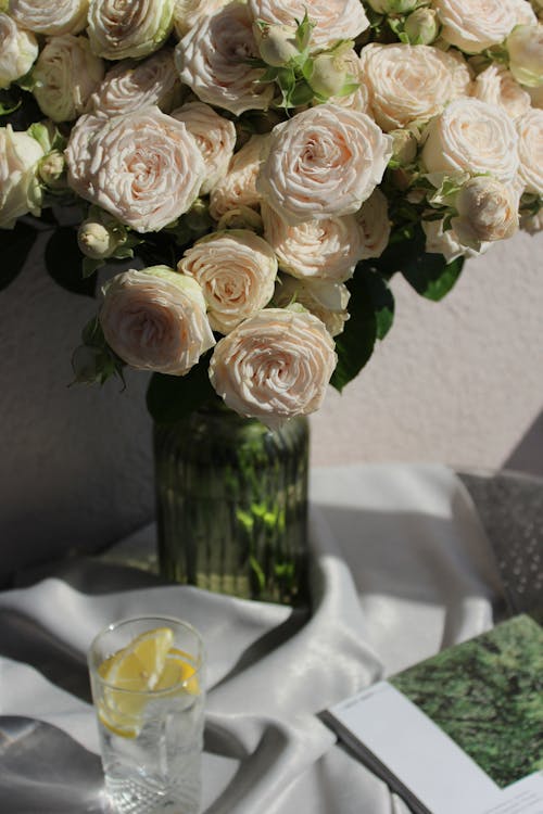 Základová fotografie zdarma na téma aranžování květin, dekorace, elegantní
