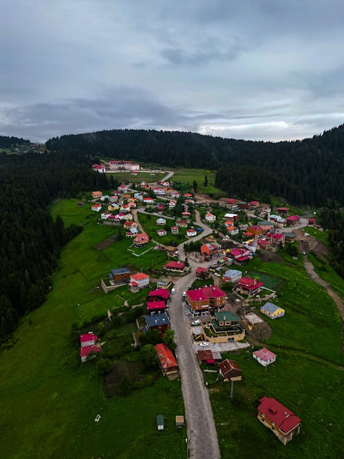 Gratis arkivbilde med giresun