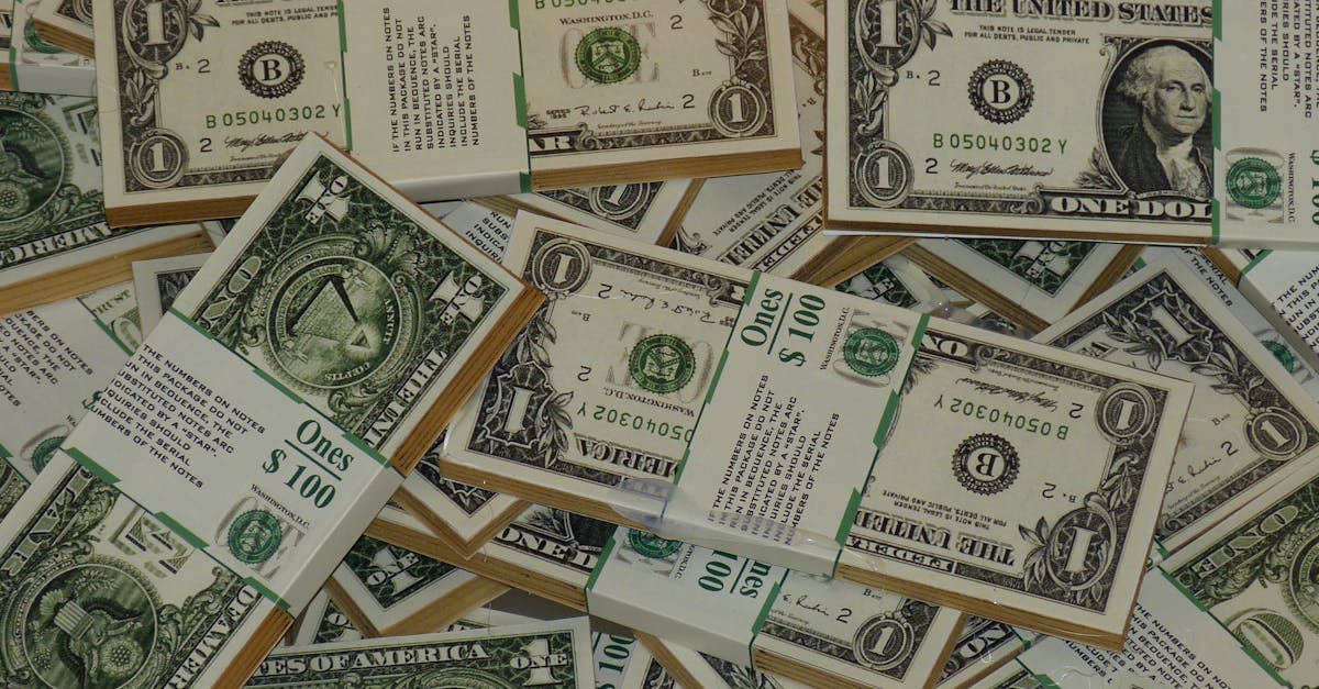 What does allotment SV mean on a pay stub