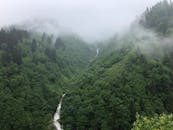 从空中俯瞰，薄雾笼罩的绿色山谷与蜿蜒的河流，在茂密的森林间构成一幅优美的风景