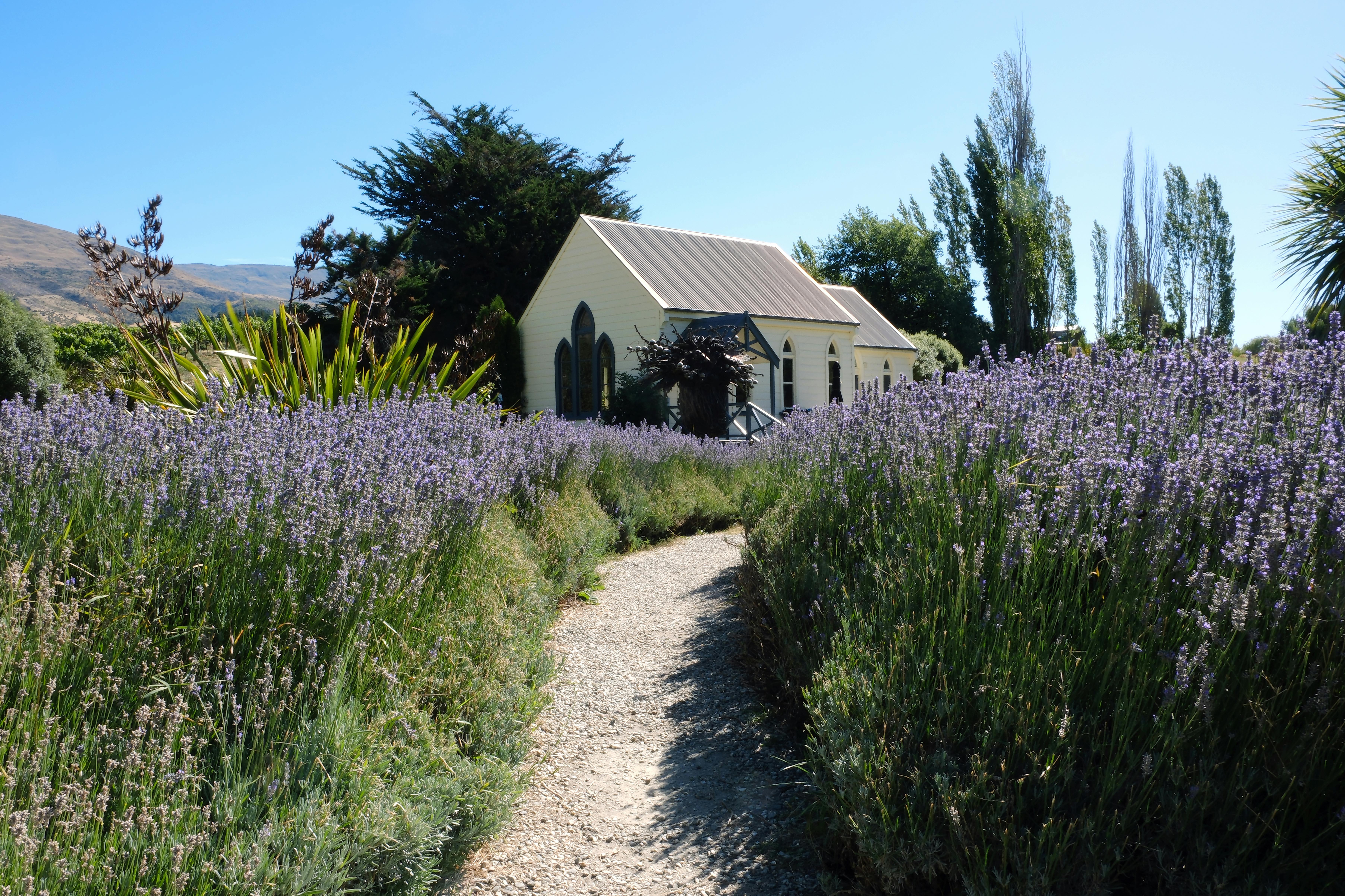 General Travel New Zealand hosts Indian travel agents on experiential famil — Photo by Paula Davenport on Pexels