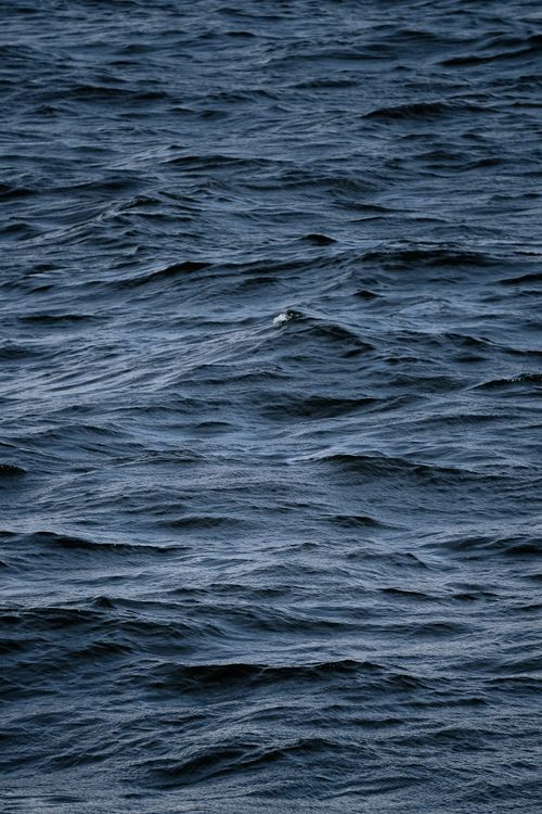 Free Deep blue ocean waves with a moody feel, capturing the beauty of nature's surface texture. Stock Photo