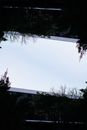 当代建筑立面以树木和开阔的天空为背景，展现了现代建筑的设计理念