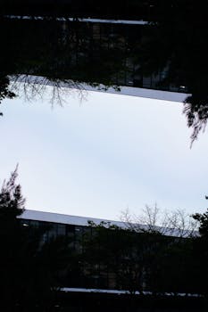 当代建筑立面以树木和开阔的天空为背景，展现了现代建筑的设计理念