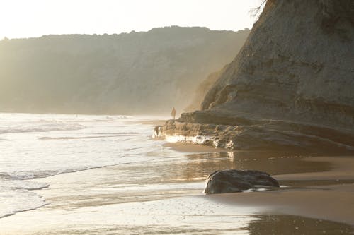 Coastline on a Foggy Morning