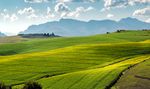Agriculteur