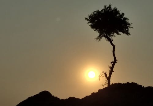 Základová fotografie zdarma na téma krajina