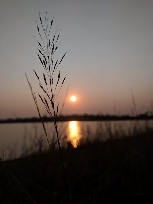 Free stock photo of landscape, sunset