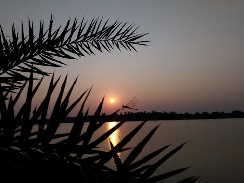 Gratis arkivbilde med solnedgang