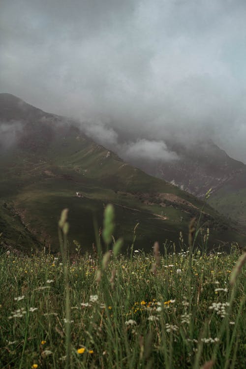 Foto d'estoc gratuïta de a l'aire lliure, amb boira, boira