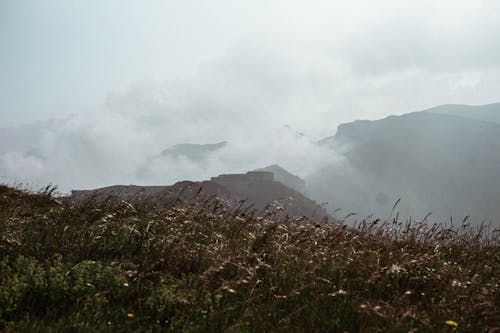 안개로 덮인 산의 사진