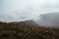 浓密的草丛前景笼罩着雾蒙蒙山丘的宁静景观