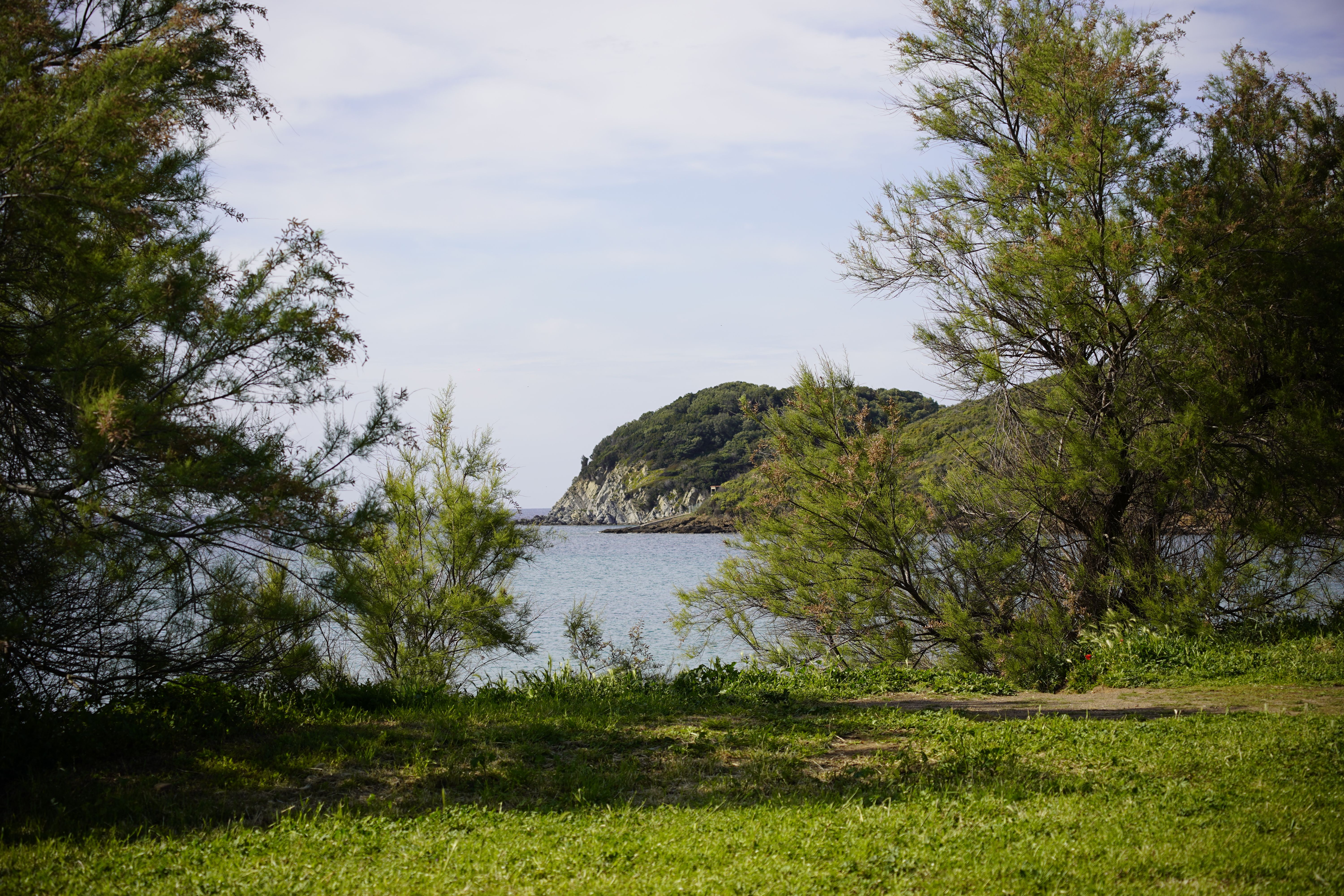 7 Day Connect to Yourself Vinyasa & Yin Yoga Retreat in Corfu 2