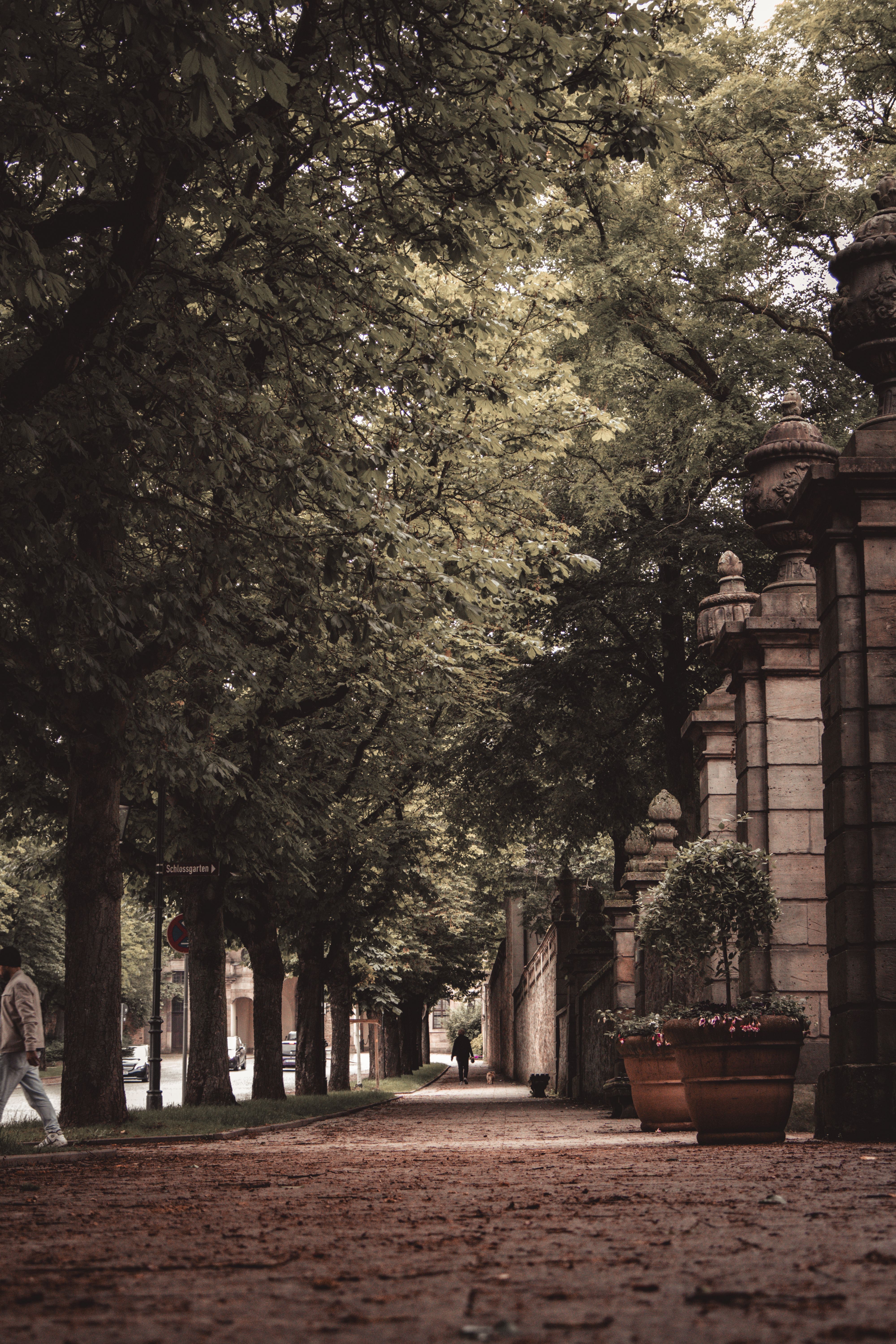 Quaint Tree-Lined Pathway with Stone Architecture · Free Stock Photo