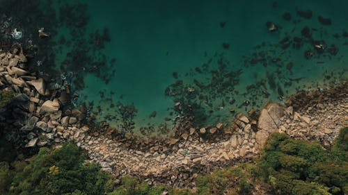 Фото Скалистого берега, вид сверху
