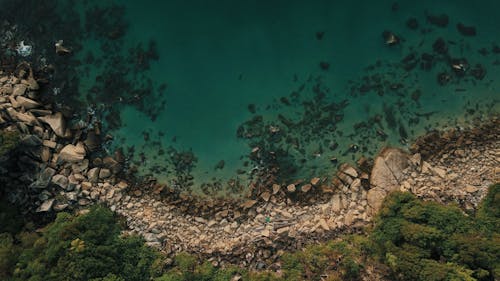 Foto De Vista Superior De Rocky Shore