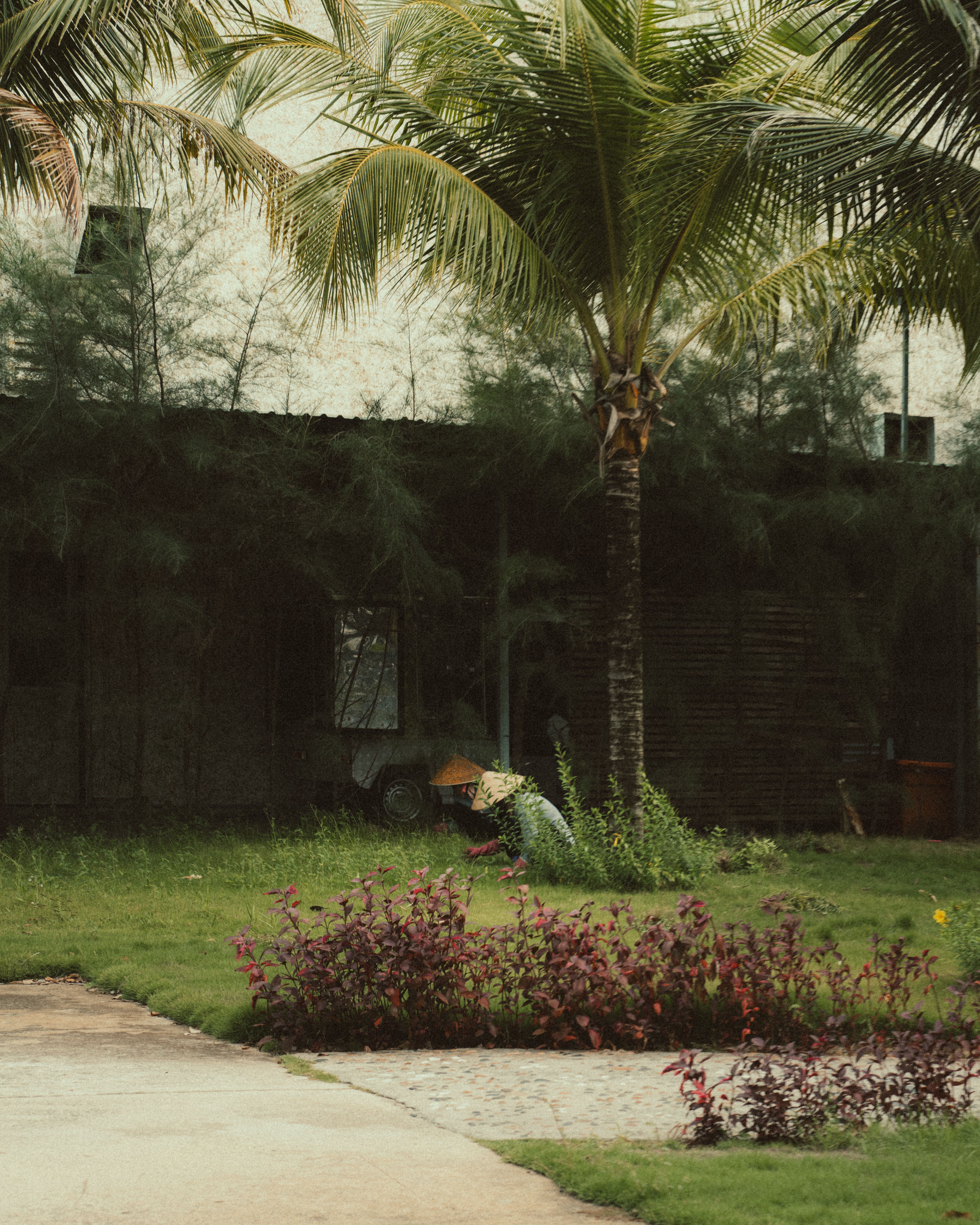 Tranquil garden view featuring palm trees and vibrant plants in Phu Quoc, Vietnam.