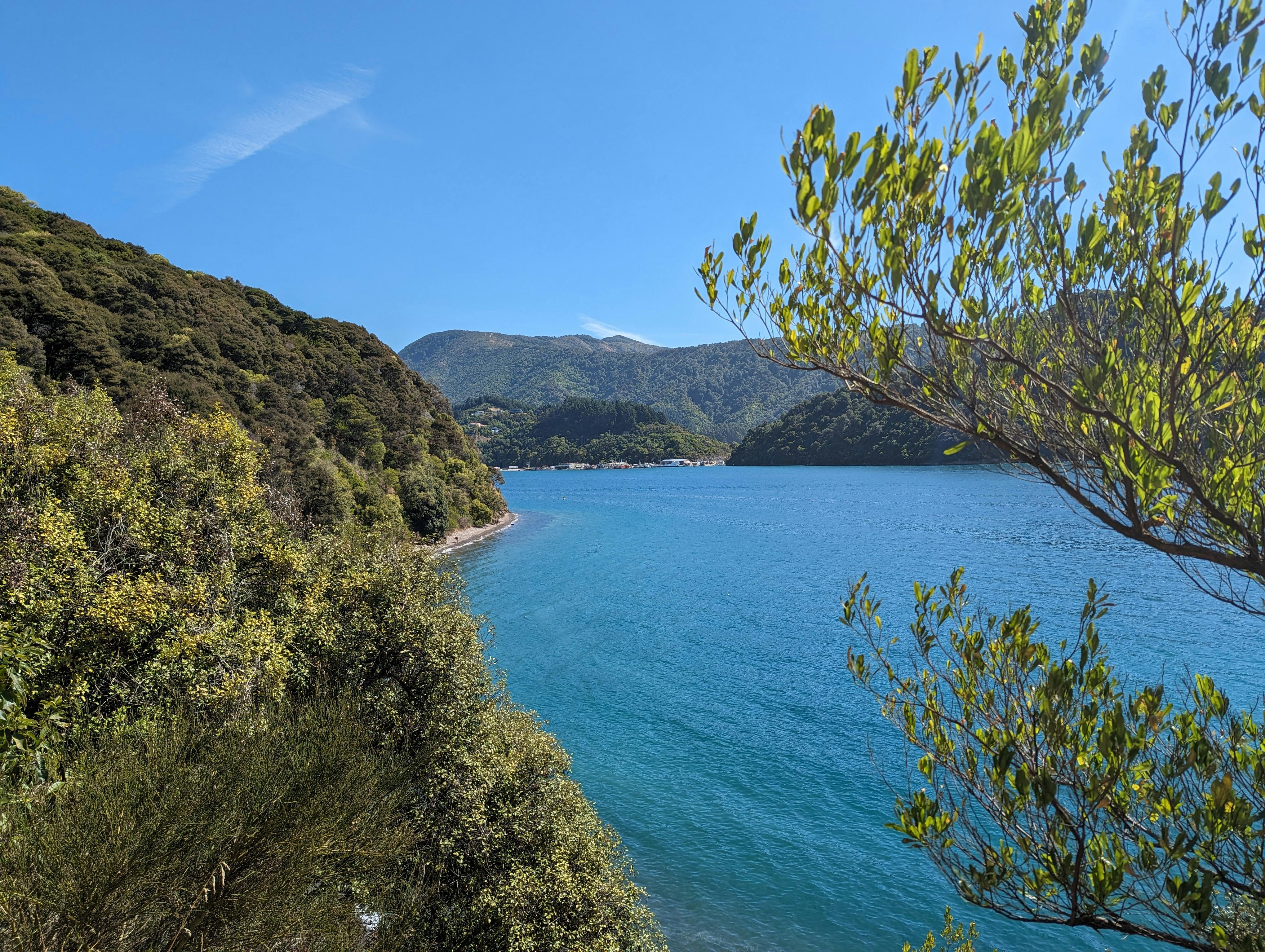 general travel new zealand tours — Photo by Daniel P on Pexels