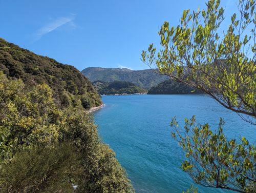 Free Explore the stunning coastal scenery of Picton, New Zealand, where lush forests meet the pristine blue waters. Stock Photo