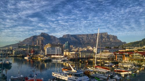 Cape Town Tours & Safaris