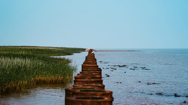 Serene lakeshore view with a line of rusty barrels leading into the water, under a clear sky.