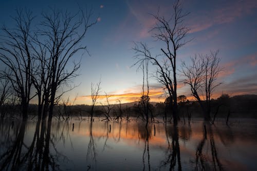 Základová fotografie zdarma na téma jezero, krajina, mlha