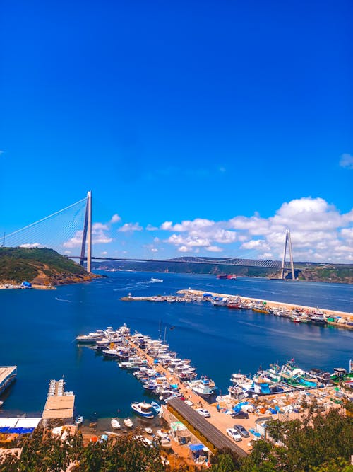 Foto d'estoc gratuïta de mediterrani, paisatge forestal, pont