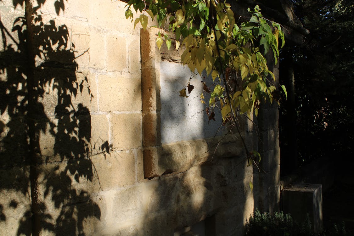fuente de San Telmo - fotografía 3