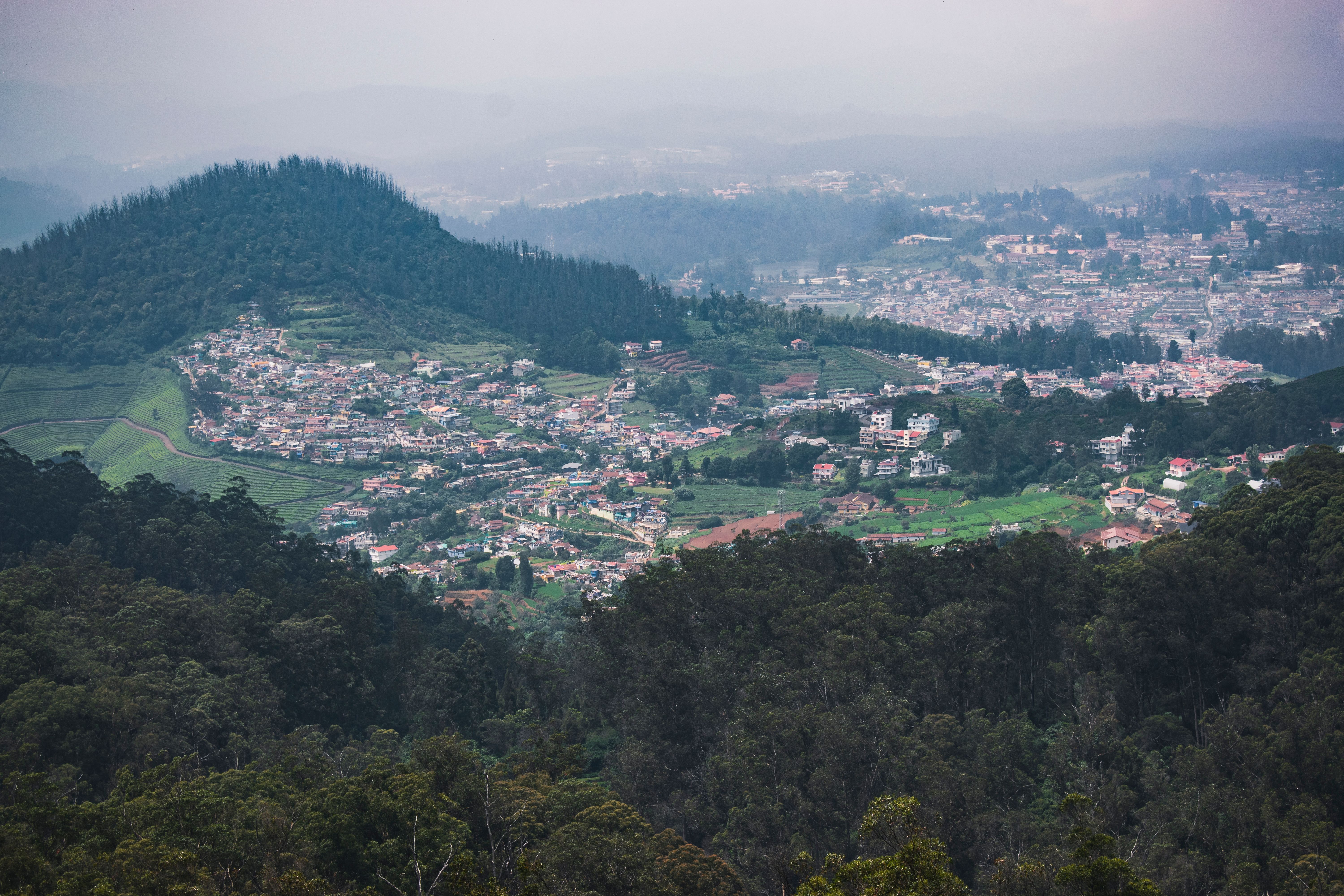 Houses in the Nilgiri mountains near Doddabetta