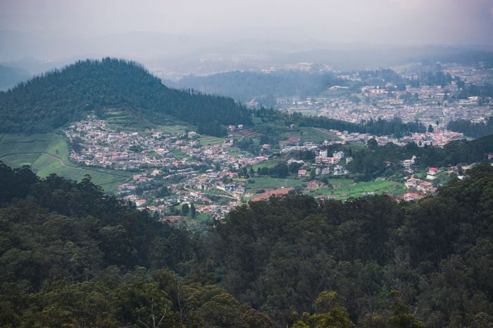 Houses in the mountains next to Doddabetta, Ooty Nilgiris