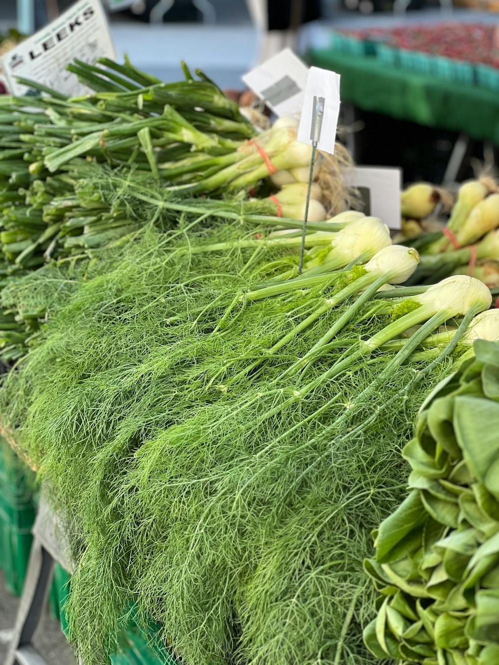 Fennel Frond Pesto