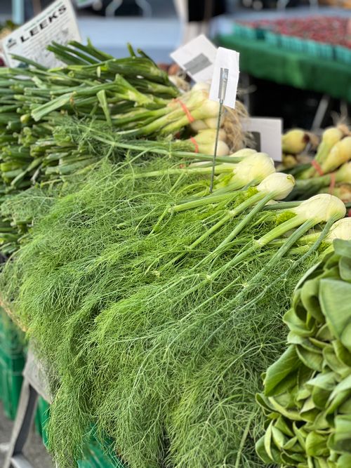 Free A vibrant display of fresh fennel and greens at an outdoor market stand. Stock Photo