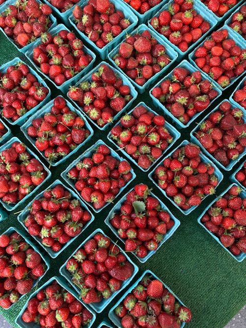 Ilmainen kuvapankkikuva tunnisteilla ainesosat, hedelmä, joukko