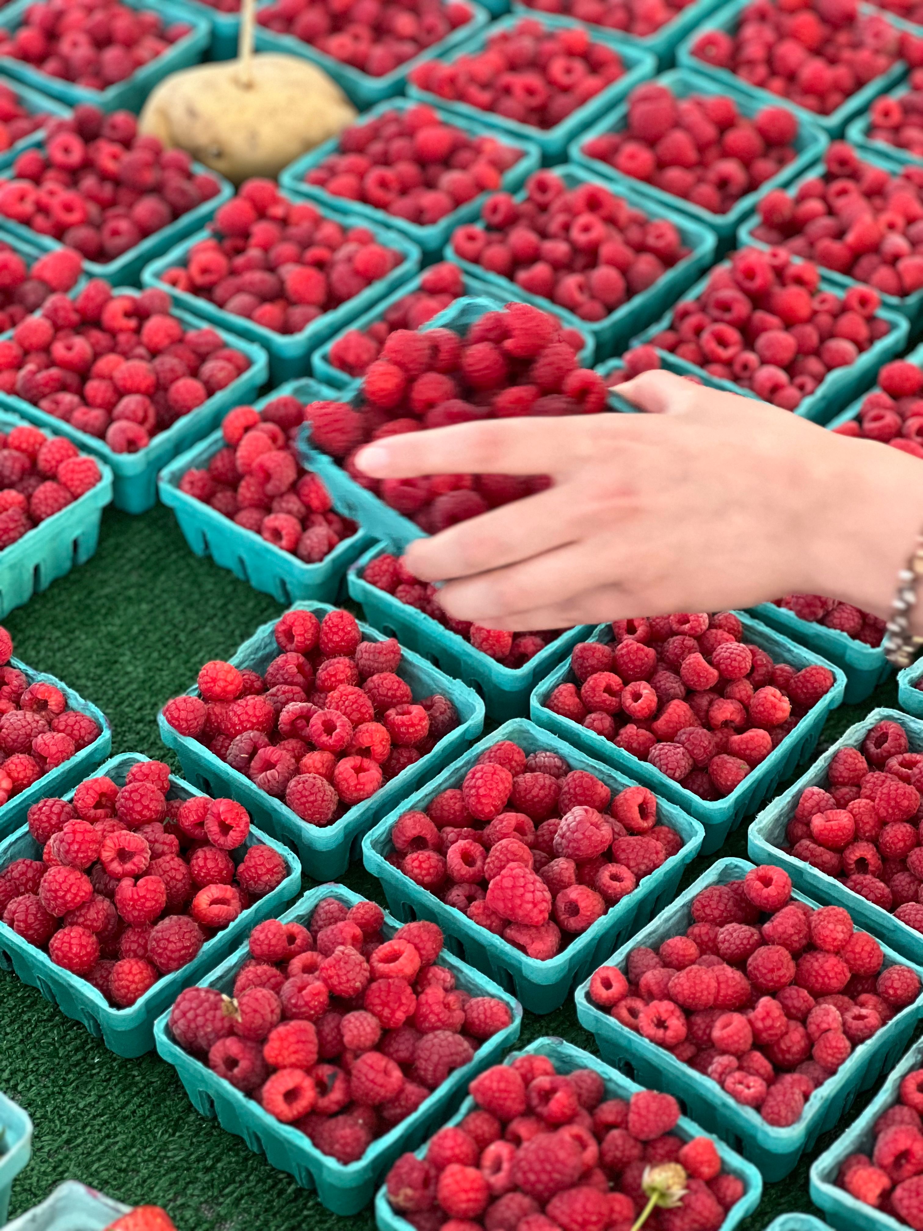Person Grabbing a Blue Container with Raspberries · Free Stock Photo