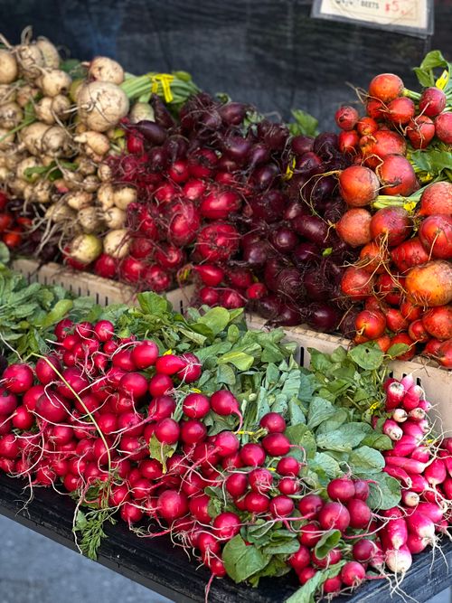 Free Colorful display of fresh radishes and root vegetables at a New York City market stand. Stock Photo