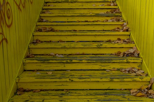Бесплатное стоковое фото с желтый, лестница, листья