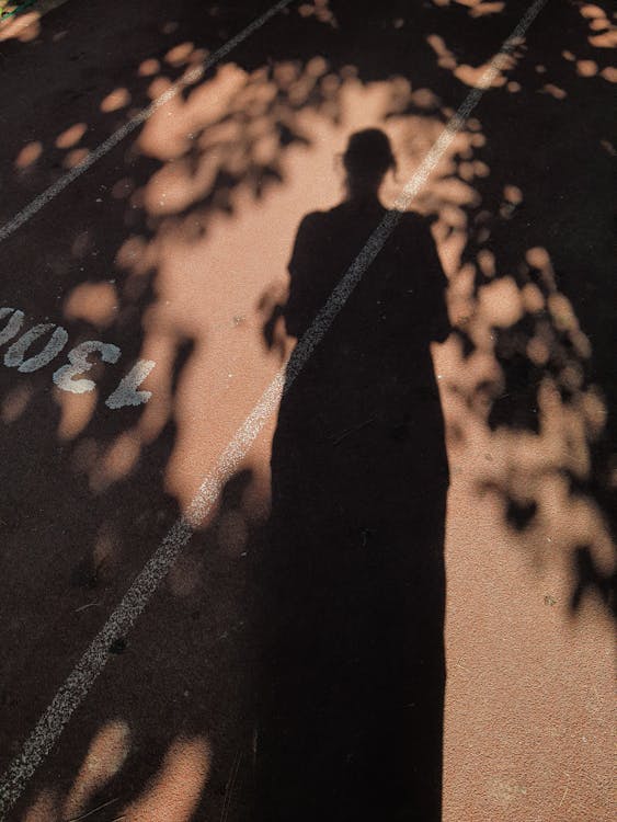 Základová fotografie zdarma na téma asfalt, podsvícení, silueta