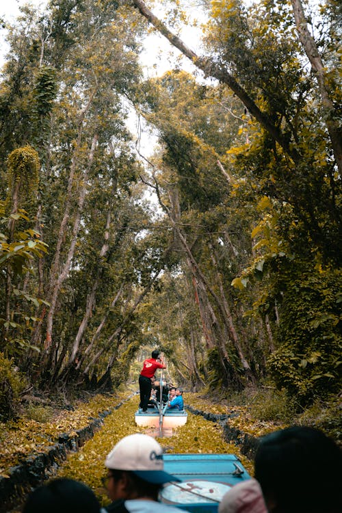 Tra Su Mangrove Forest & Bird Sanctuary