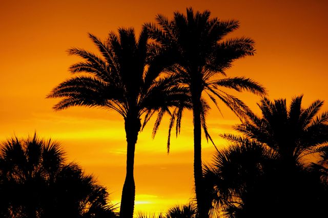 Photo by Del Adams on Pexels Photo by Del Adams on Pexels