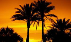 Bartow, Florida