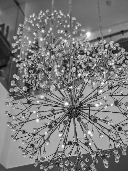Free Black and white photo of dandelion-inspired chandeliers with crystal lights. Stock Photo